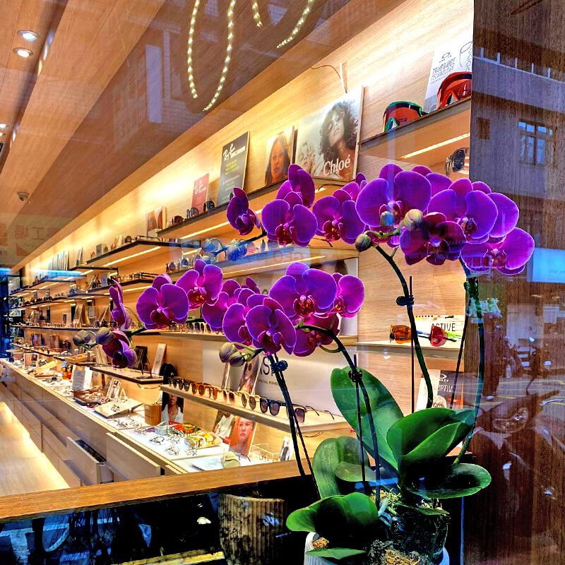 關於我們非凡比眼鏡行