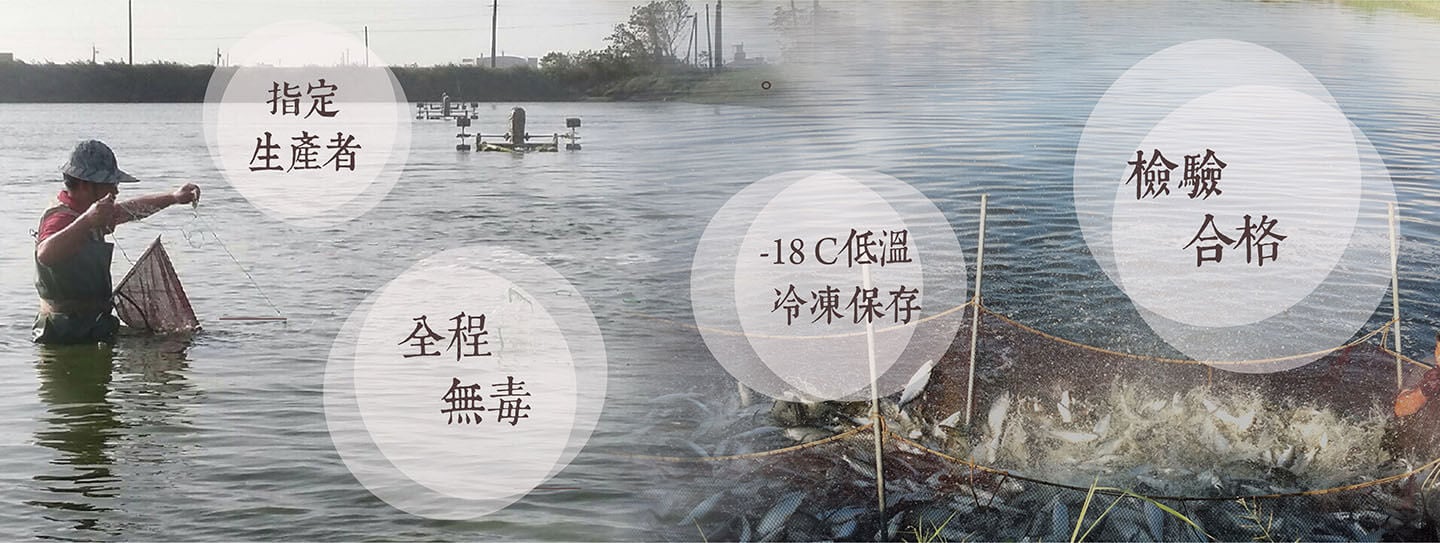 邱家兄弟｜嘉義布袋鎮水產精品,嘉義布袋鎮生態養殖
