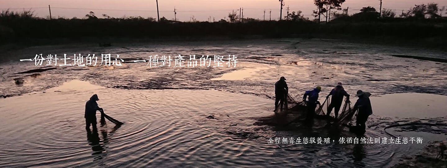 邱家兄弟｜嘉義布袋鎮水產精品,嘉義布袋鎮生態養殖