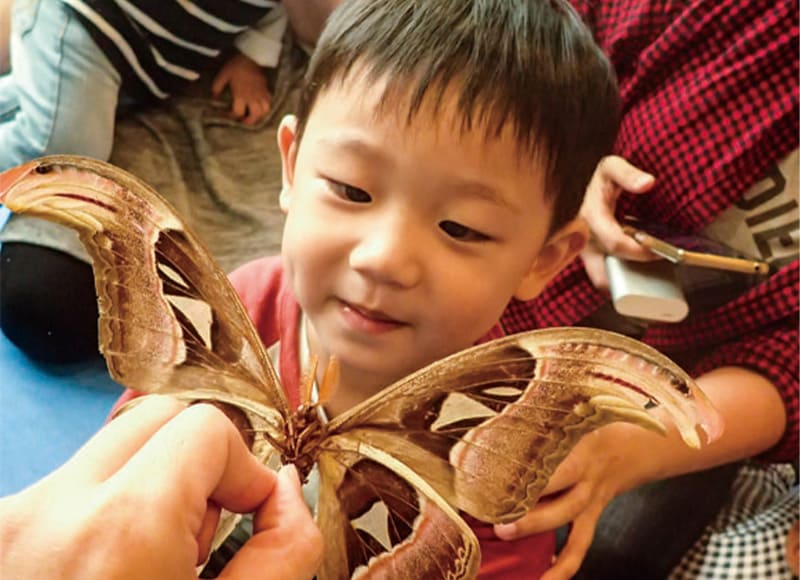 【生物好朋友系列】