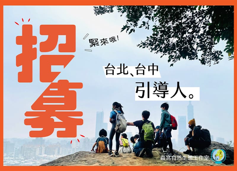 蟲窩徵人囉!