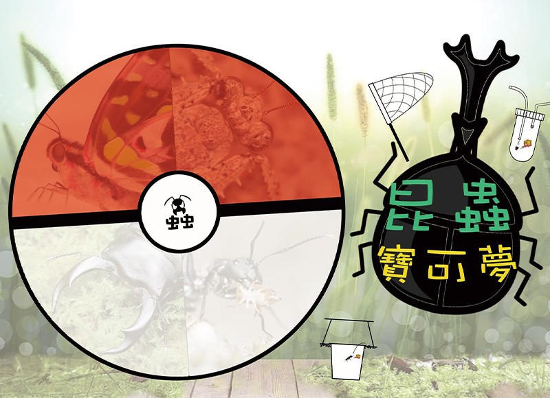 【2023蟲窩暑期單日營隊-昆蟲寶可夢】
