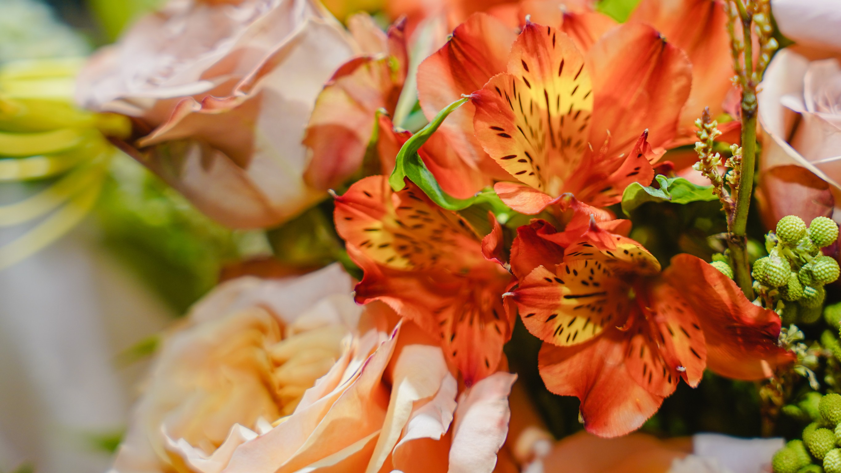 拉莫爾花藝