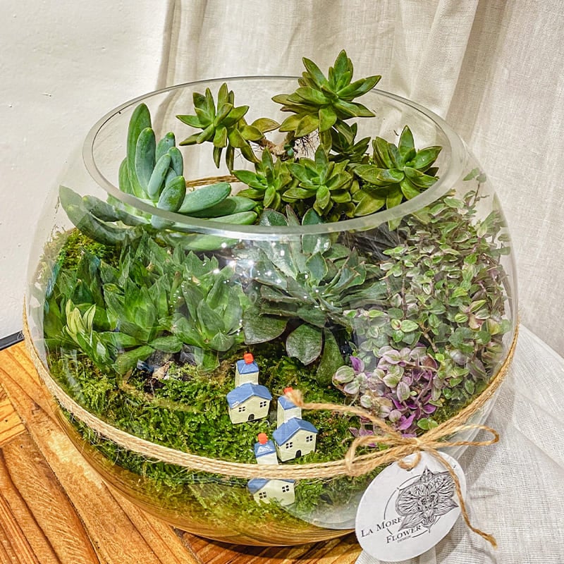 植栽