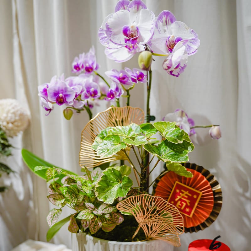 植栽