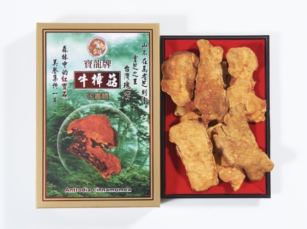 牛樟芝子實體 （11.2公克裝）