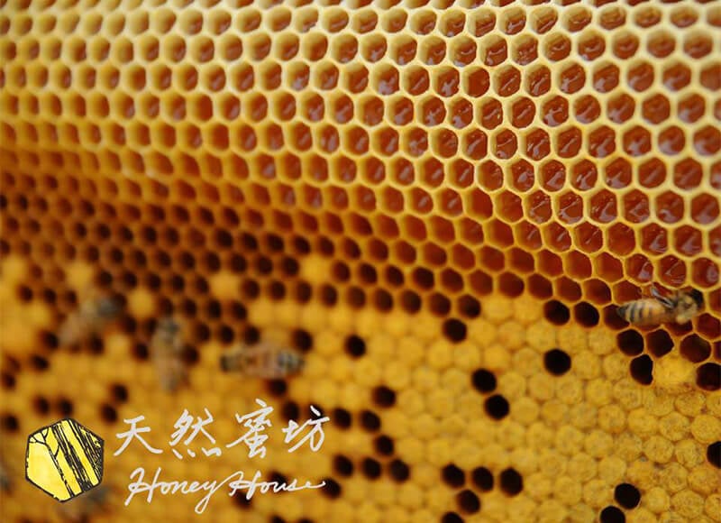 深紫蒲姜蜜