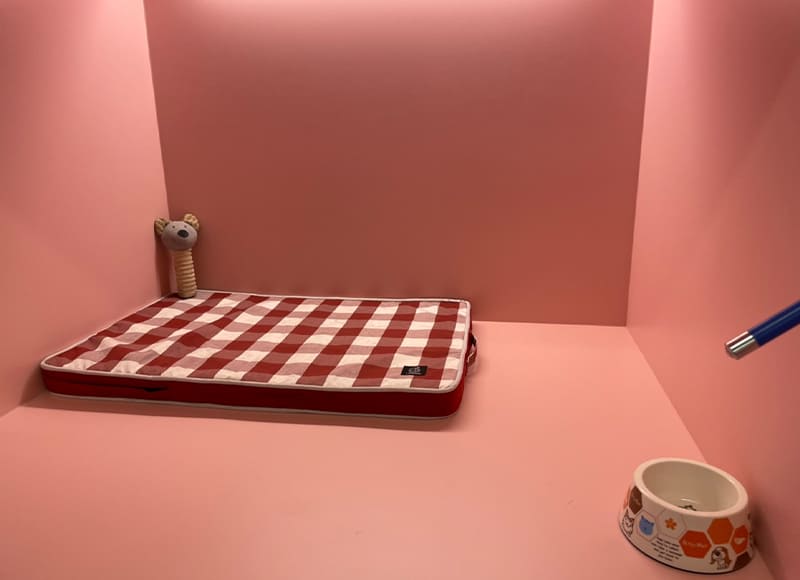 寵物住宿