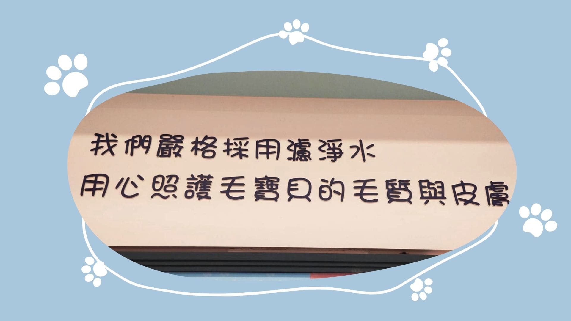 回家寵物