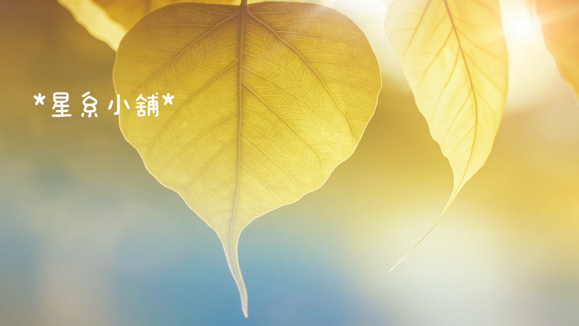 星系銀河小舖