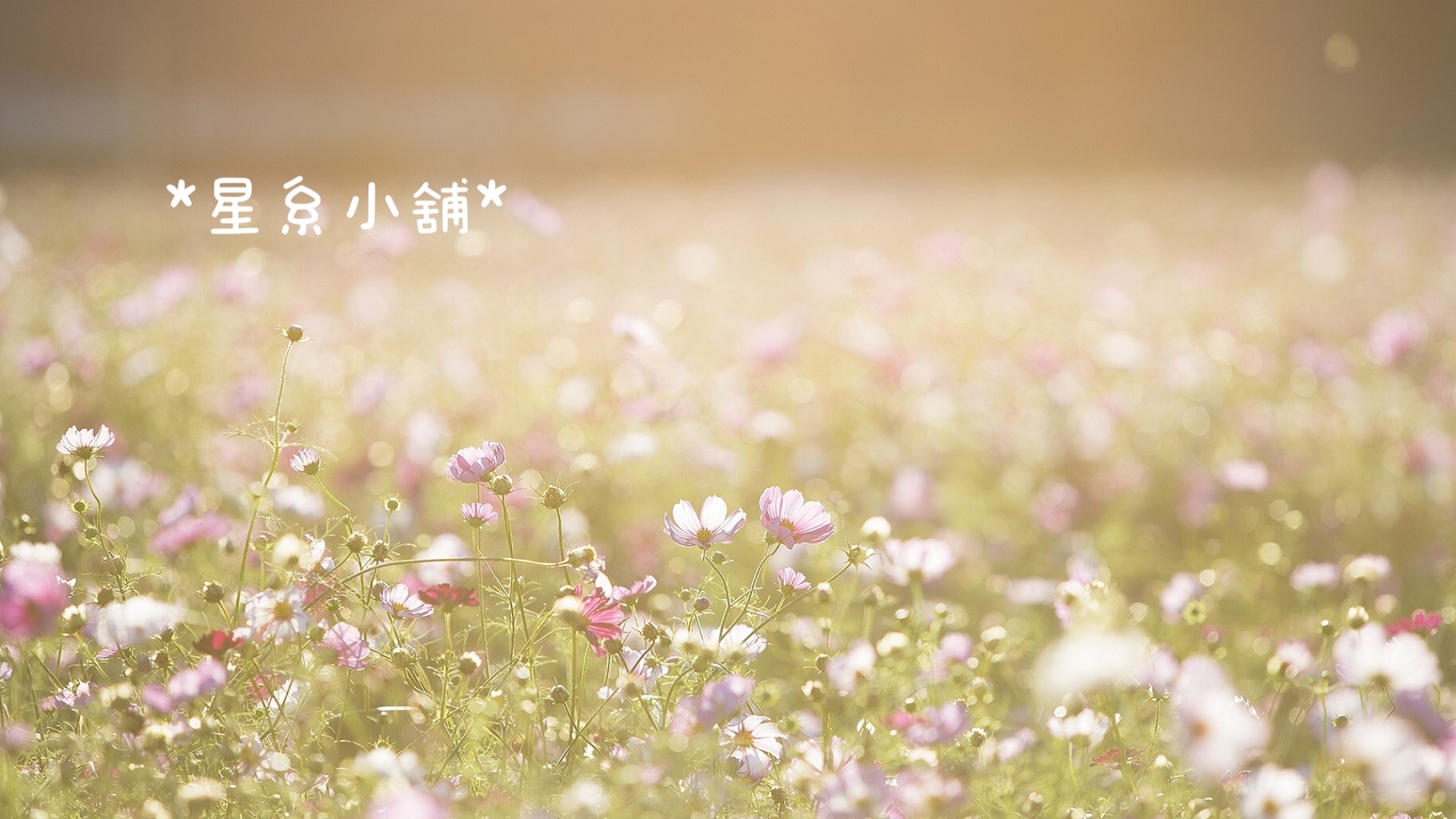 星系銀河小舖