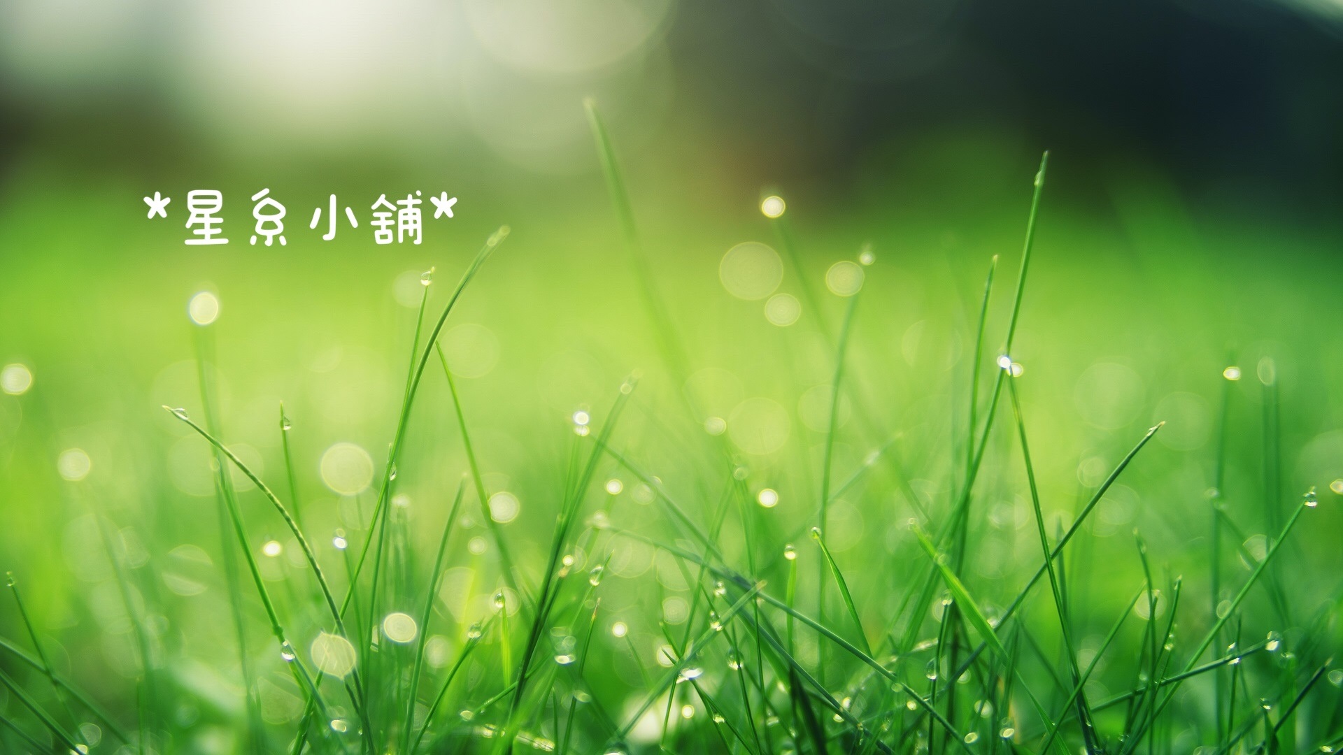 星系銀河小舖