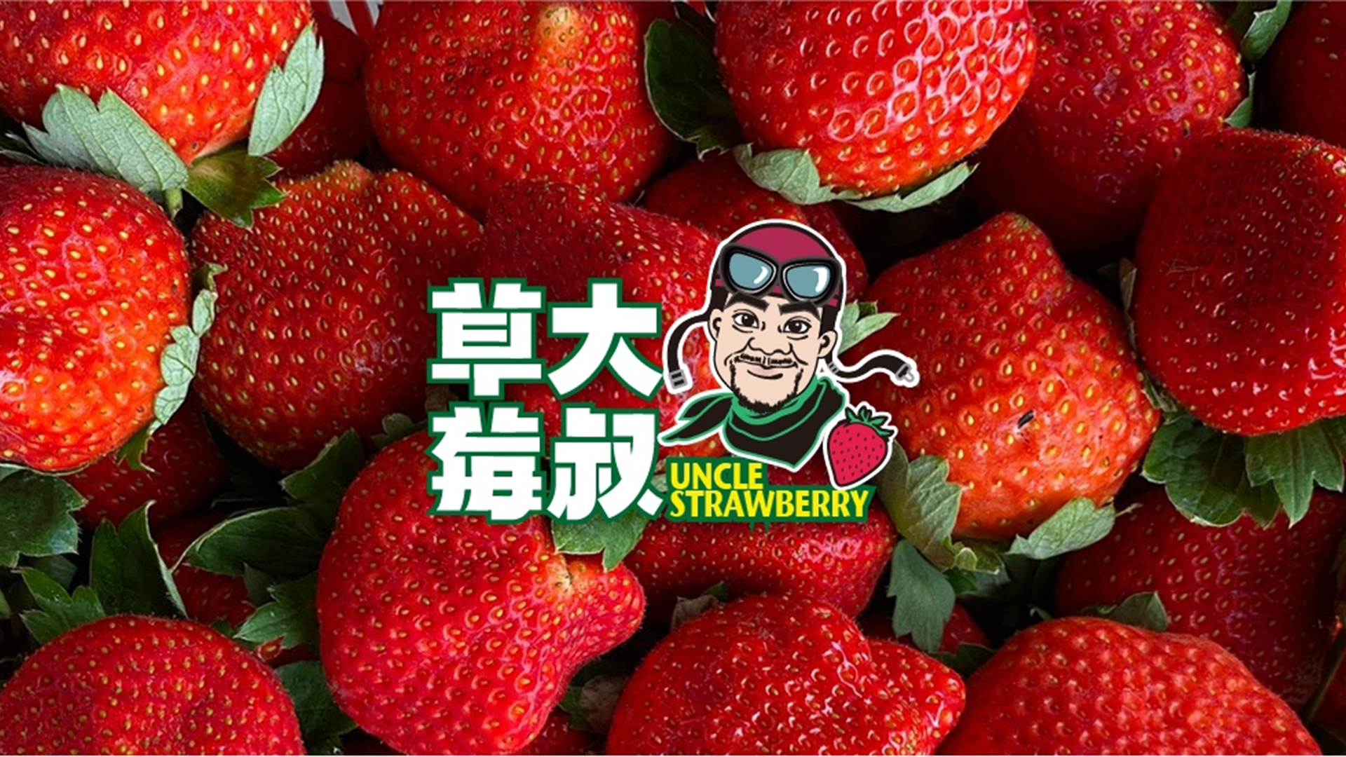 草莓大叔｜苗栗草莓自產自銷,苗栗草莓新鮮宅配,苗栗觀光農園