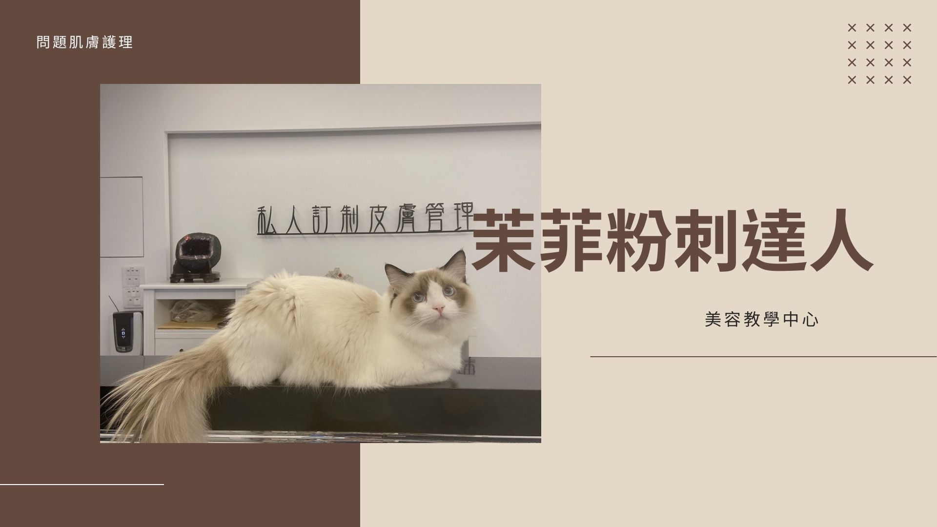 茉菲粉刺達人