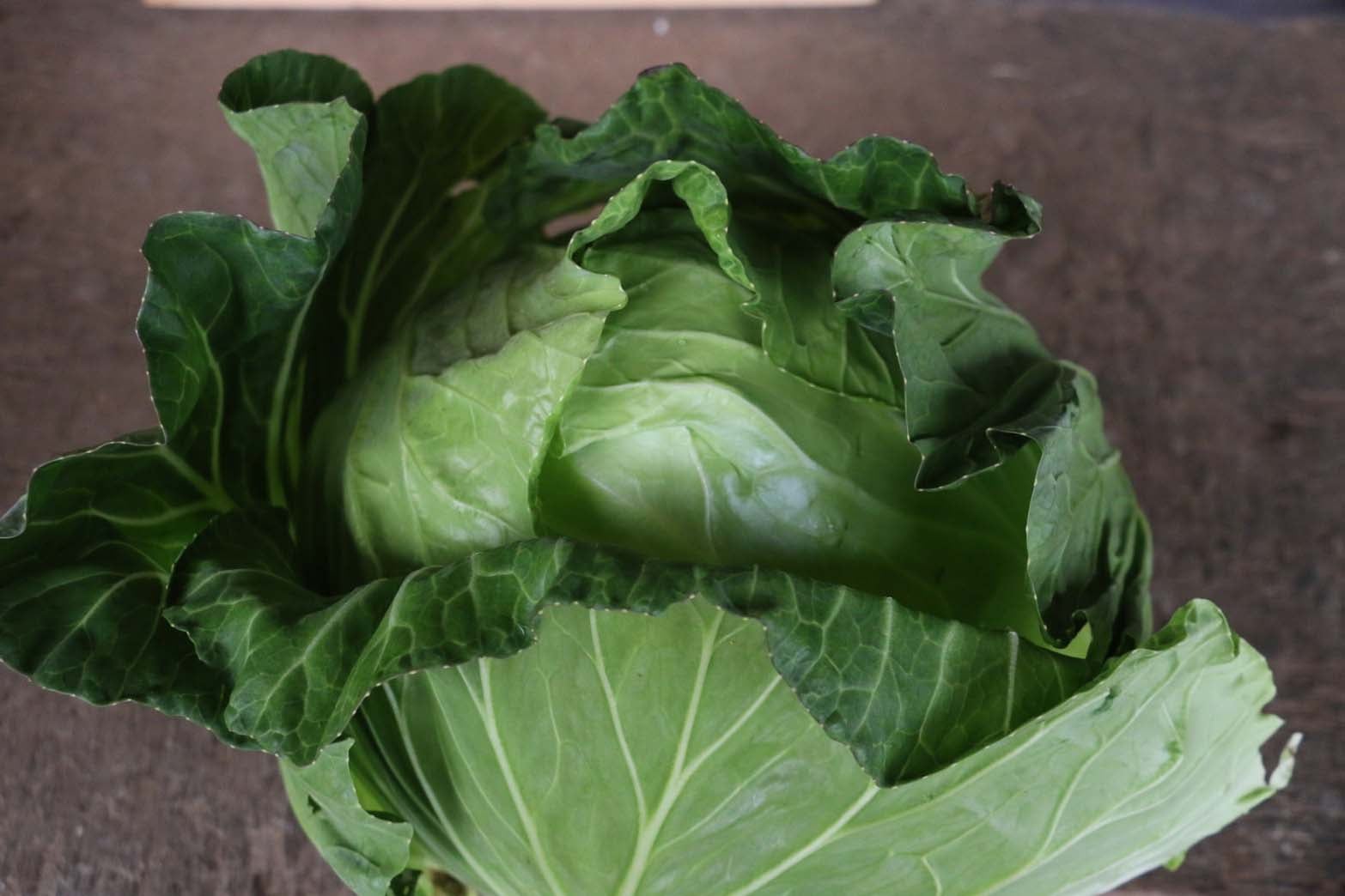 蔬菜檢驗
