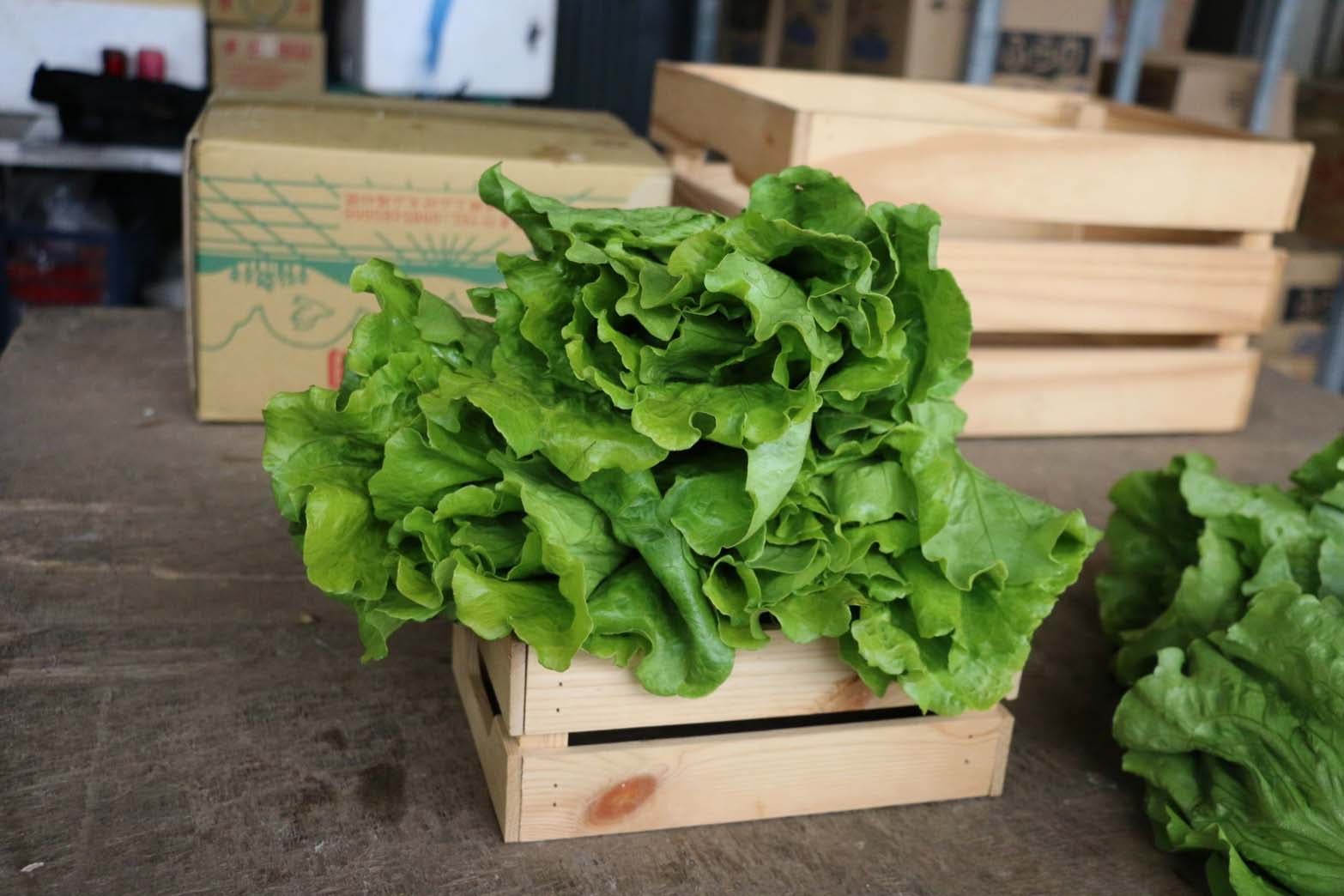 蔬菜檢驗