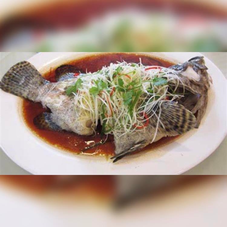 龍虎石斑魚